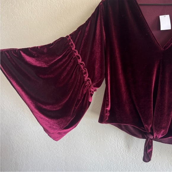 Lavender Field • Burgundy Velvet Top - Picture 3 of 5